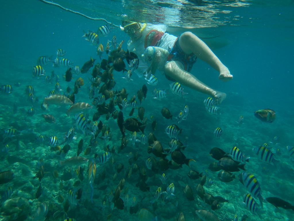 II Bungalow Gili Meno Bagian luar foto